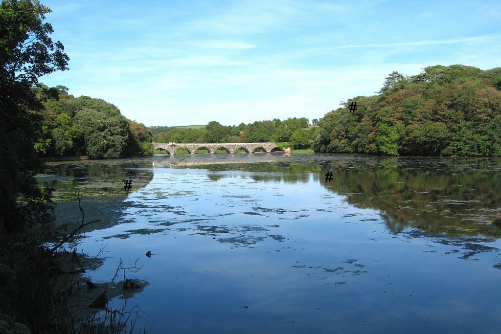 Bosherston Lily Ponds Pembrokeshire